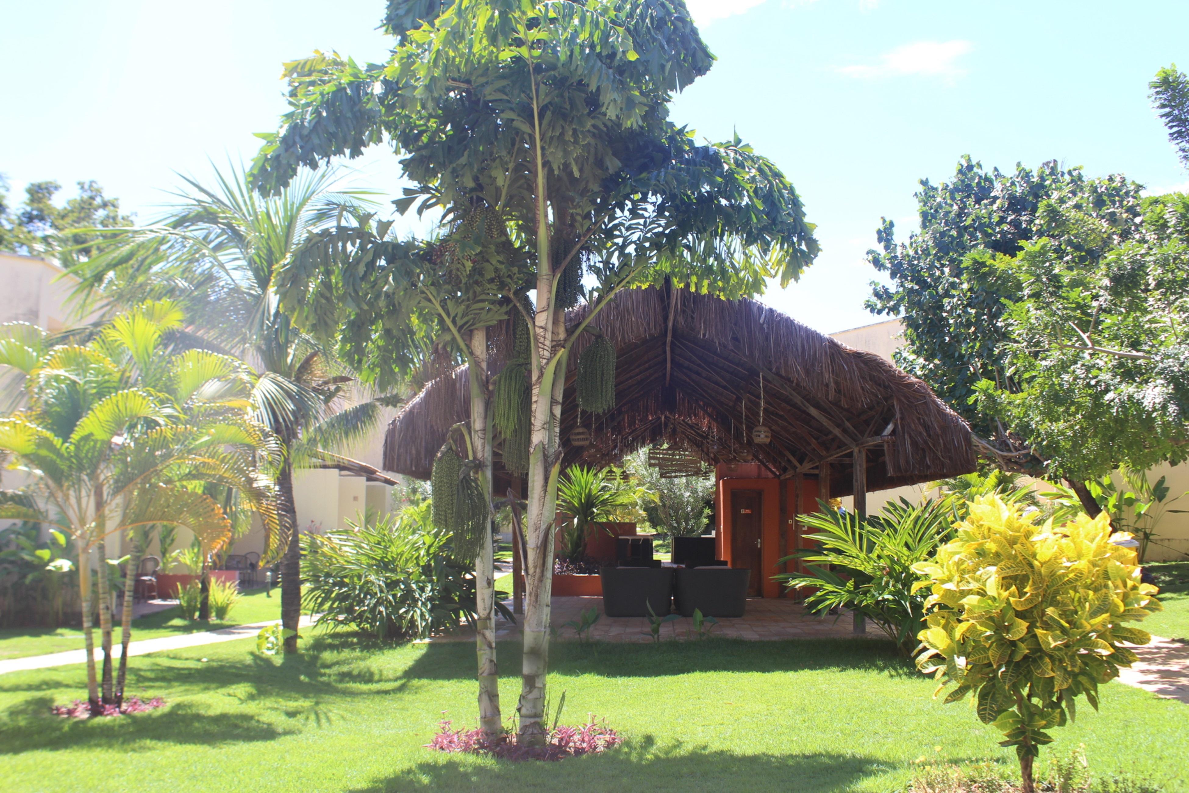 Hotel Pipa Atlantico Praia de Pipa ภายนอก รูปภาพ