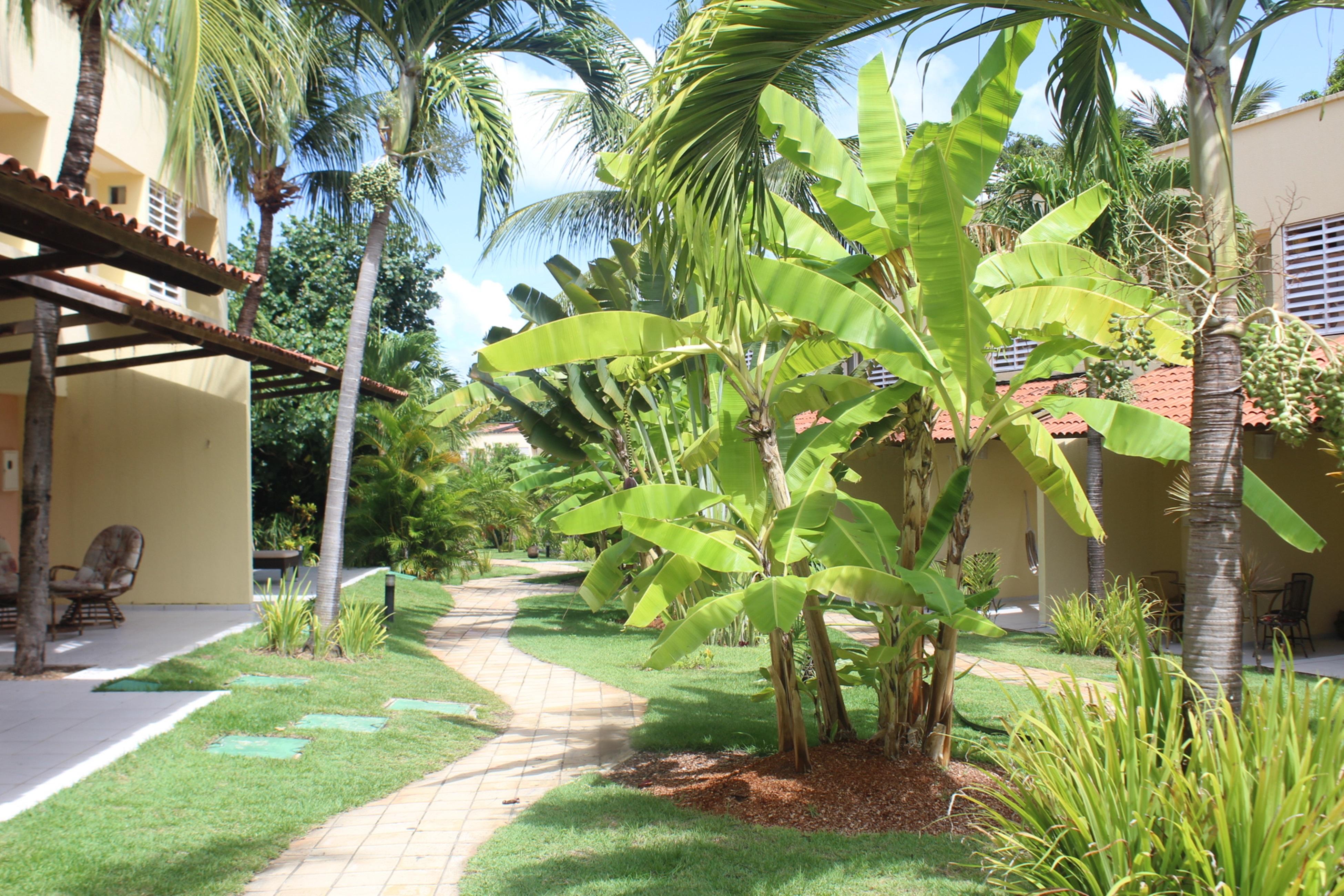 Hotel Pipa Atlantico Praia de Pipa ภายนอก รูปภาพ