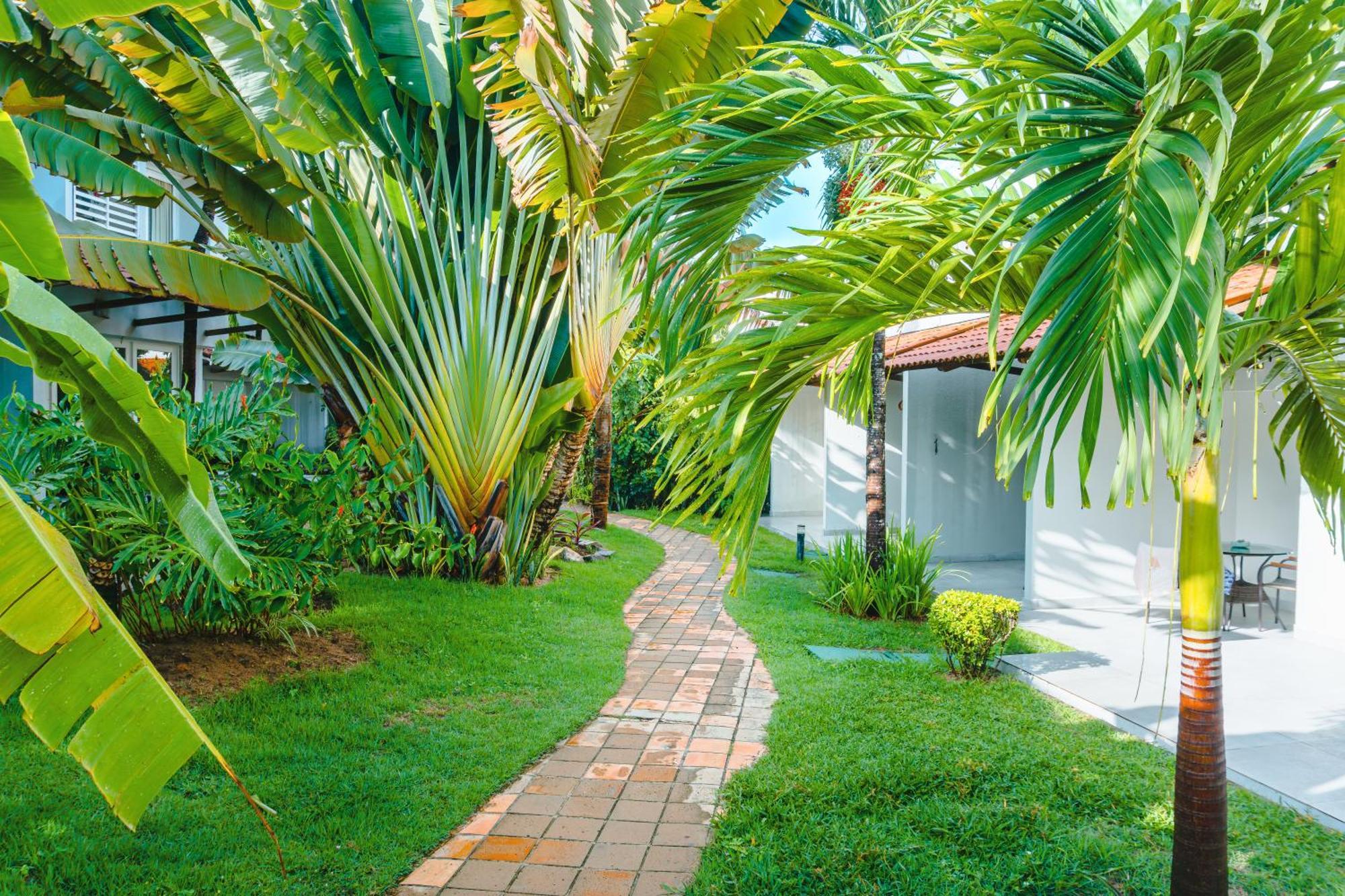 Hotel Pipa Atlantico Praia de Pipa ภายนอก รูปภาพ